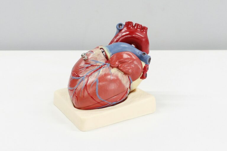 Cardiovascular Health